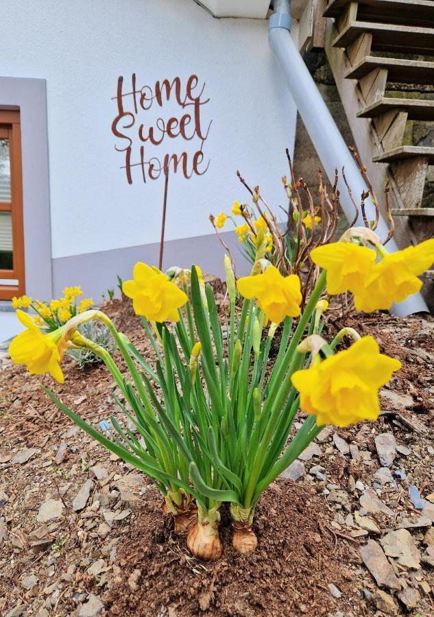 Daffodils Villa Enscherange Buitenkant foto